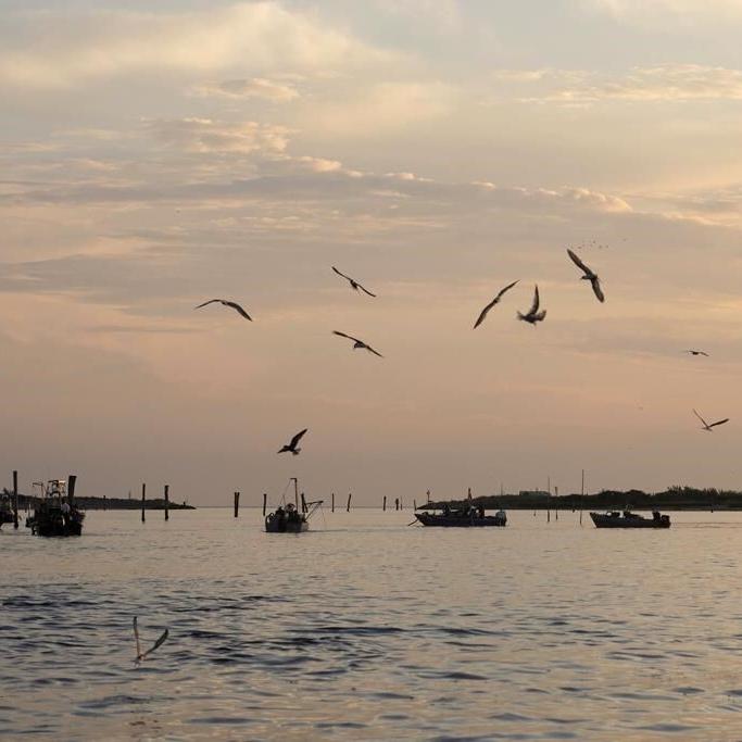 EU nature restoration law narrowly survives attack by conservative lawmakers